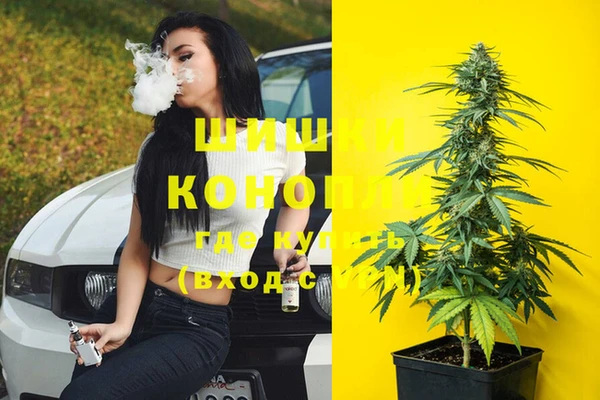 прущие крисы Кущёвская