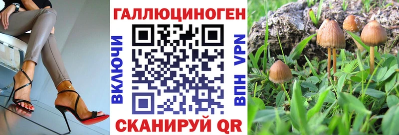 нарко площадка Telegram  Фёдоровский  Псилоцибиновые грибы прущие грибы 